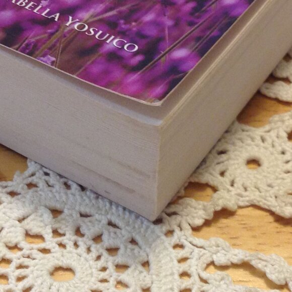 3 for $10 book sale! Bible Devotionals, Mornings with Jesus 2019 - Picture 5 of 7